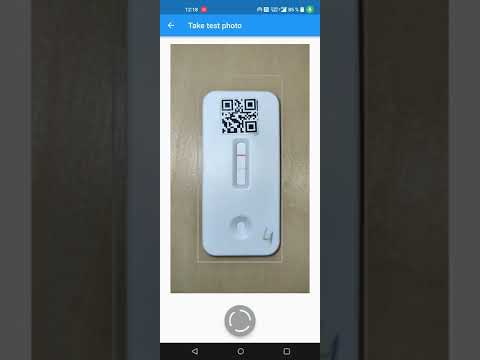 Lateral Flow test results detection made by EasyVet.ai service