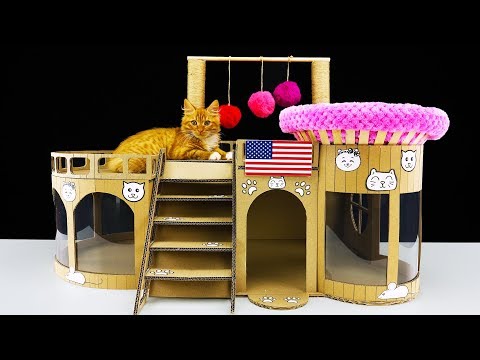 How to Make Amazing Kitten Cat House from Cardboard at Home