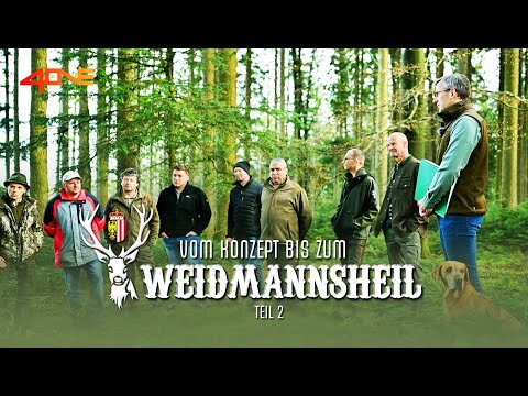Eigenjagd vs. Genossenschaftsjagd – Wer entscheidet über die Jagd? | Abschussplanung OÖ – Teil 3