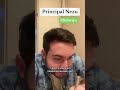 MHA Nezu S Long Weekend Announcements Animecomedy Animegenre Shorts