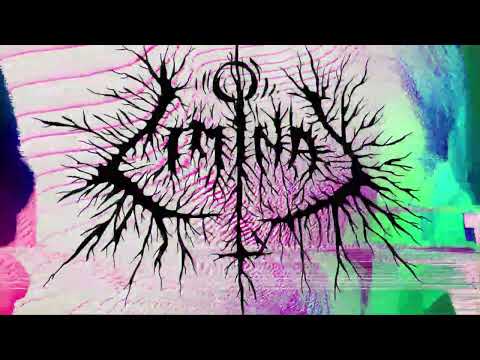 PETBRICK "Distorted Peace" (feat. Paula Rebellato)