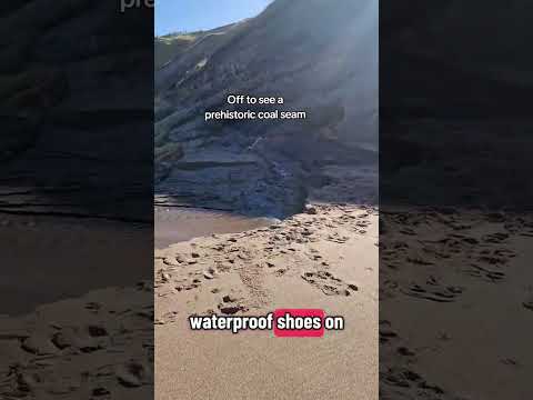 Pre Historic Coal Seam on Spittal Beach ⛱️