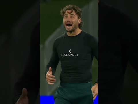 Why Did Marcus Stoinis Do This?