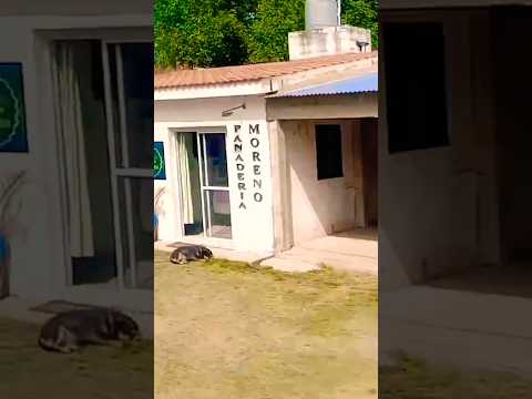 San Carlos Minas, provincia de Córdoba, Argentina. #sancarlosminas