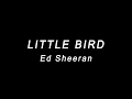LITTLE BIRD - Ed Sheeran (lyrics)