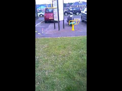 WHITEHEAD FESTIVAL PART TWO