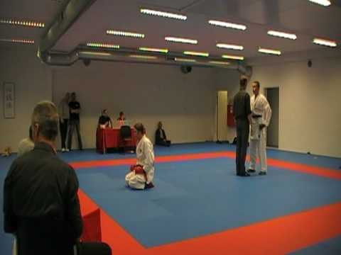 Wado Cup 2009, Wado Ryu Karate Kumite, +85. Daugaard vs. Bjarke