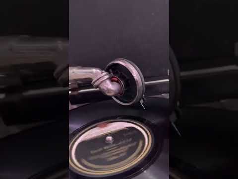 Weary weazel Abe Lyman and his ambassador hotel orchestra Brunswick 2504-B