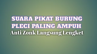 Download lagu Mp3 Suara Pikat Pleci Ampuh , Banyak Di Pakai Oleh Pemikat #HKBFPainan mp3 Download lagu Mp3 Suara Pikat Pleci Ampuh , Banyak Di Pakai Oleh Pemikat #HKBFPainan mp3