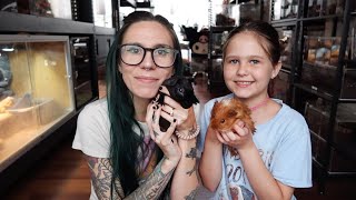 DON'T BUY YOUR KID A GUINEA PIG!!!.. before watching this