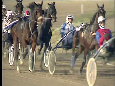 Trotto 19/11/2017 - 5ª corsa