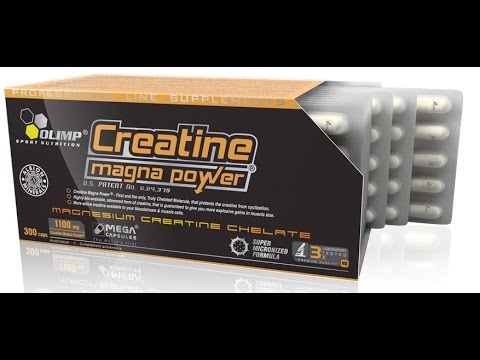 Creatine Magna Power By Olimp Review