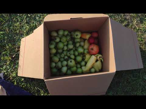 A projekt vége, bontás - 4K / Nagyon lusta (de gazdag :P ) kertészeknek veteményes 10  2020-10-28 /