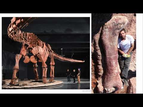 Sauropods: Titans of the Mesozoic