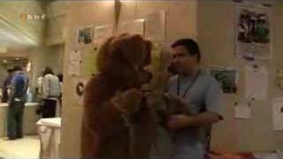 Jappodawg on the loose