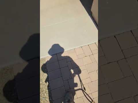 Watch Pest Control Flash-Dry in Seconds (At “Only” 103°!) ☀️⏱️ - Pest Control Service Videos