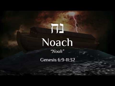 Image result for Genesis 6:9 - 11:32