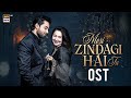YOU ARE MY LIFE VIDEO SONG ASIM AZHAR SABRI SISTER OST