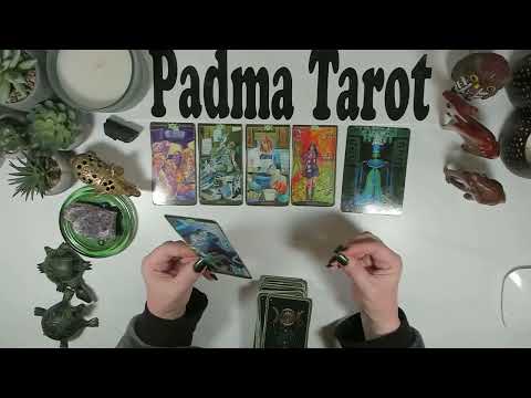 GO WITH A FLOW AND RECEIVE YOUR BLESSINGS!NEXT 72 HOURS ⚠️VERY IMPORTANT MESSAGE!Bonus Tarot Reading