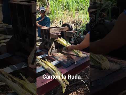 La tradicion molienda de calla  canton la Ruda distrito de masahuat santa ana 🙌