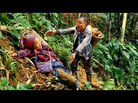 Harvesting bamboo shoots in the forest: an unexpected event and its consequences.