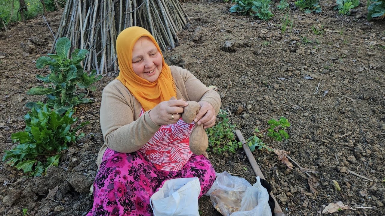 ‼️BENİ TAKİP EDİYOR KABAKLARI DİKTİM ‼️