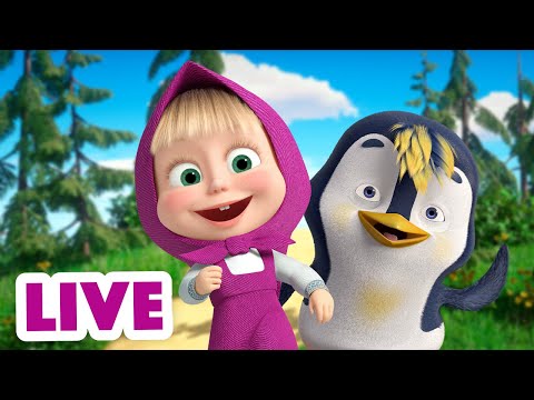 Masza i Niedźwiedź - Sezon 1 - Odcinek specjalny - Codzienne przygody na żywo