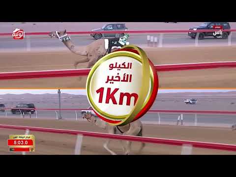ش 1 (قزوين) لـ سعيد مسلم سعيد بن طاهي الراشدي 6:31:49 ، مهرجان العين 2026/08/09 حول الروضة