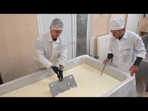 Video Thumbnail: How Bulgarian prisoners make cheese to earn an early release | AFP