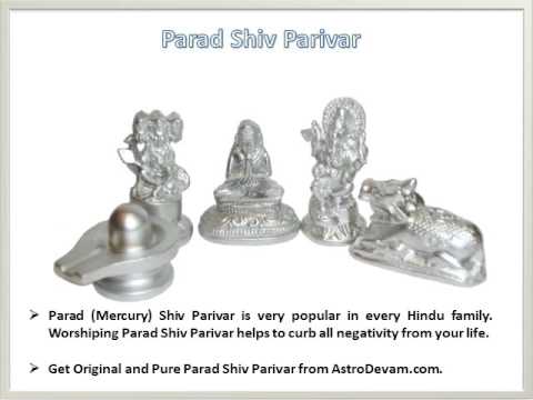 Astro Devam Original Parad Shankh Mercury Conch 100 Gm
