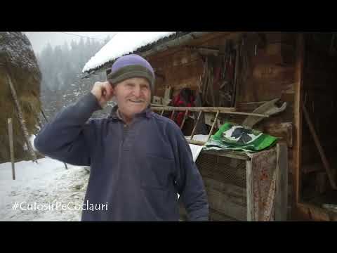 Badea Vasile Bumb, un gospodar din Țara Moților cum rar mai găsești în ziua de azi (🆕 2022)