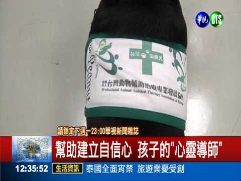 人類最好的夥伴 毛孩子上課"趣"