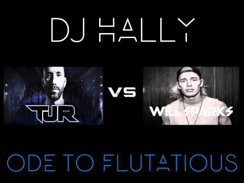 Ode To Flutatious (DJ Hally Mashup)