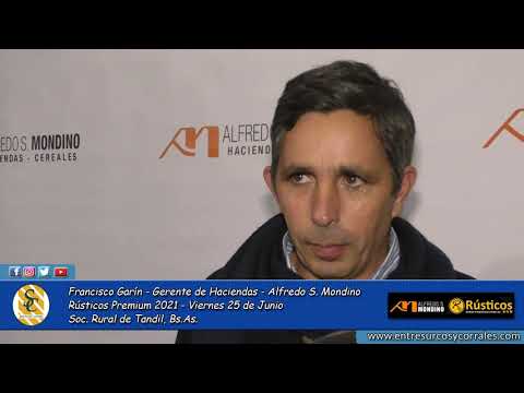 25-06-21 - Francisco Garín - Gerente de Haciendas - Alfredo S. Mondino   Rústicos Premium 2021