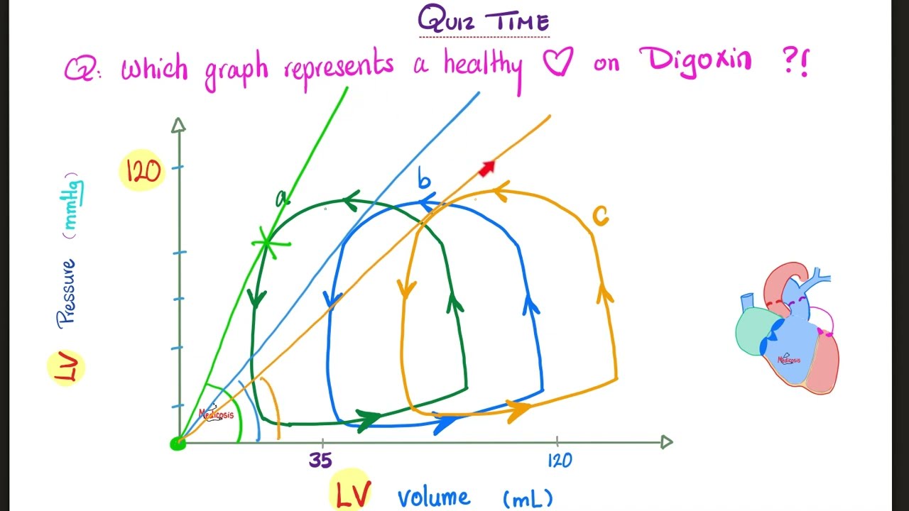 Pressure-Volume Loops & the Cardiac Cycle — Cardiophysiology — Physiology Playlist