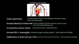 كورس VO2max training