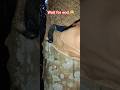 Wait For End Shorts Fa9la Fa9lasong Viralshorts Shortvideo Youtubeshorts Shortsfeed