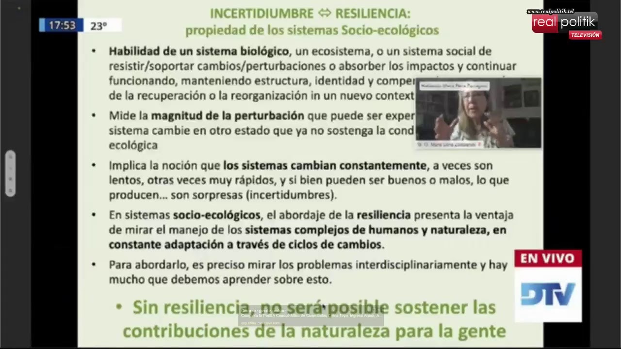 Sesión virtual en la Cámara de Diputados de la Nación