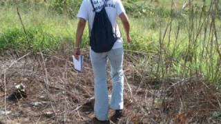 preview picture of video 'área para reflorestamento em Mococa / Saneamento Ambiental - UNIARARAS'