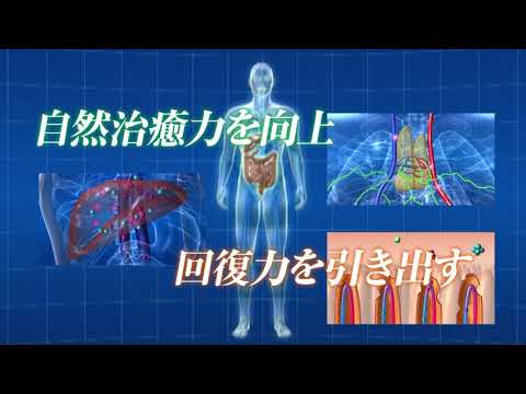 栄養学科 BS11放送番組・ダイジェスト　超高齢社会の未来を照らす栄養療法最前線