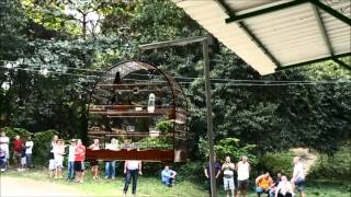A Ultima Apresentação de um Campeão