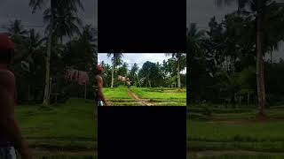 Download lagu #fyp #wawanalo856 #wawanalo856 mp3