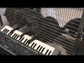 Zoo Gives Animals Musical Instruments