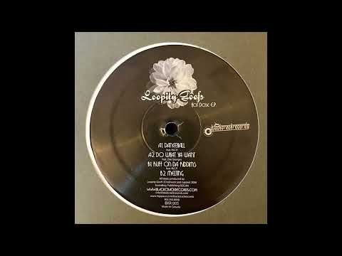 Loopity Goofs ‎– Do What Ya Want