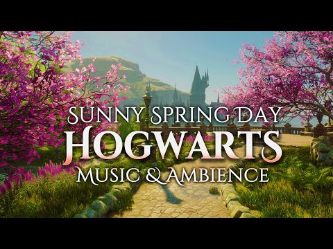 Hogwarts Spring Blossom | Calming & Peaceful Harry Potter Music & Ambience #study #relax