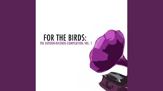 Fly, Don&#39;t Fly on Me