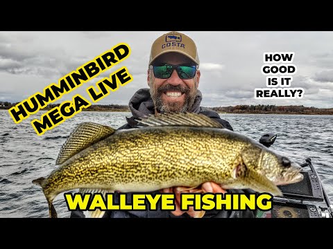 HUMMINBIRD MEGALIVE WHILE WALLEYE FISHING