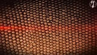 From Under The Willow &quot;Outlaws&quot; OFFICIAL LYRIC VIDEO