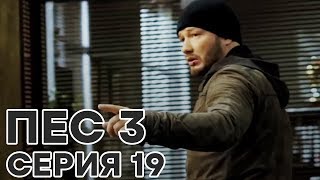 Сериал ПЕС - все серии - 3 сезон - 19 серия - смотреть онлайн