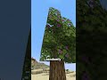 Azalea trees are actually useful